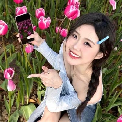 红楼春怨